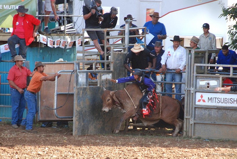 52- Rodeo.JPG